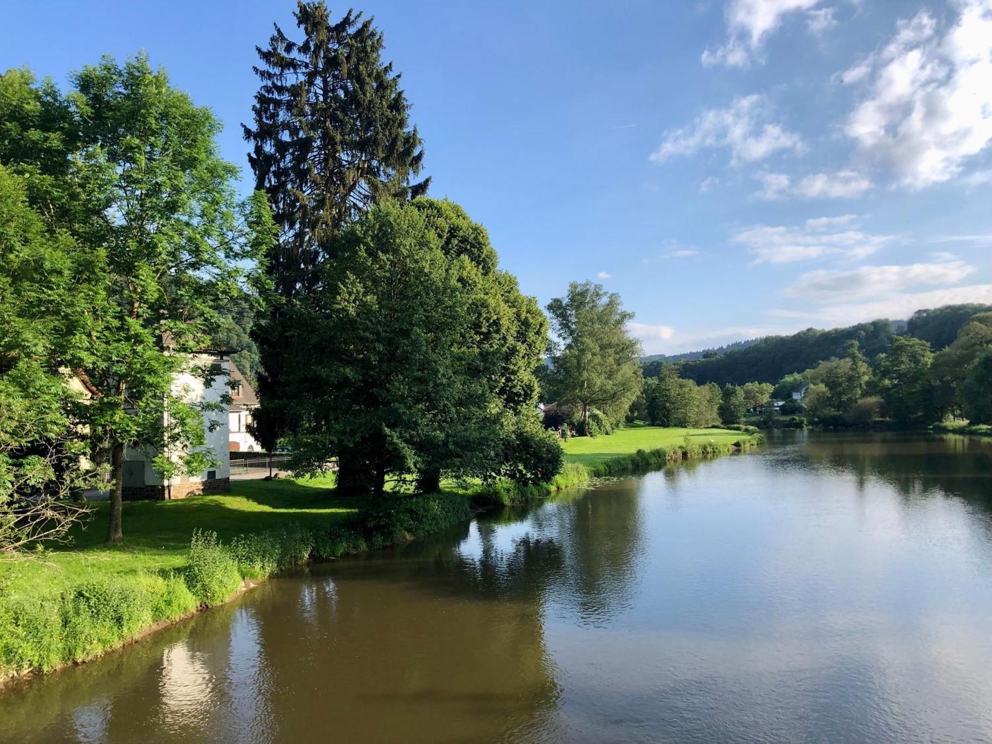 Ferienwohnung "Gaston" Mitten In Waldbreitbach Экстерьер фото